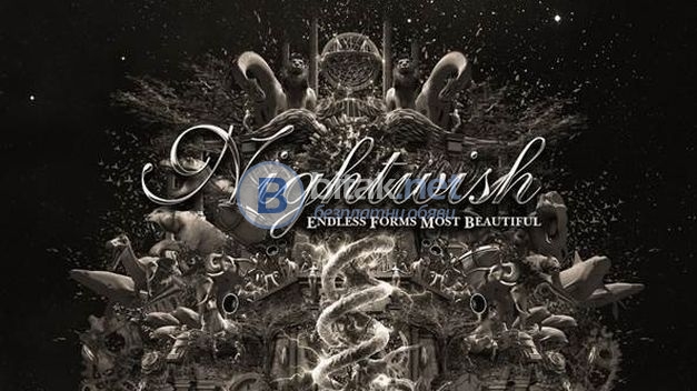 Концерт на nightwish в букурещ