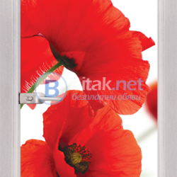 Стъклена интериорна врата, Print G 13-8