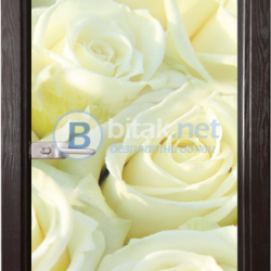 Стъклена врата модел Print G 13-6