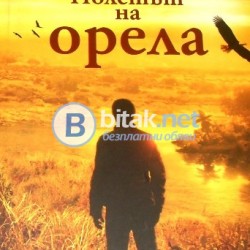 Полетът на орела , Иво Топалов