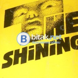 The shining . Stephen King