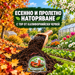 Грижата за плодородната почва започва през есента и продължава през пролетта!
