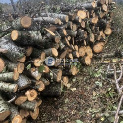 дърва за огрев - череша на метровки по 50 евро за кубик в Шумен, 0885290929